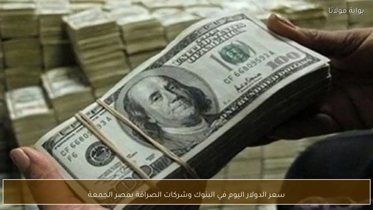 سعر الدولار اليوم في البنوك وشركات الصرافة بمصر الجمعة
