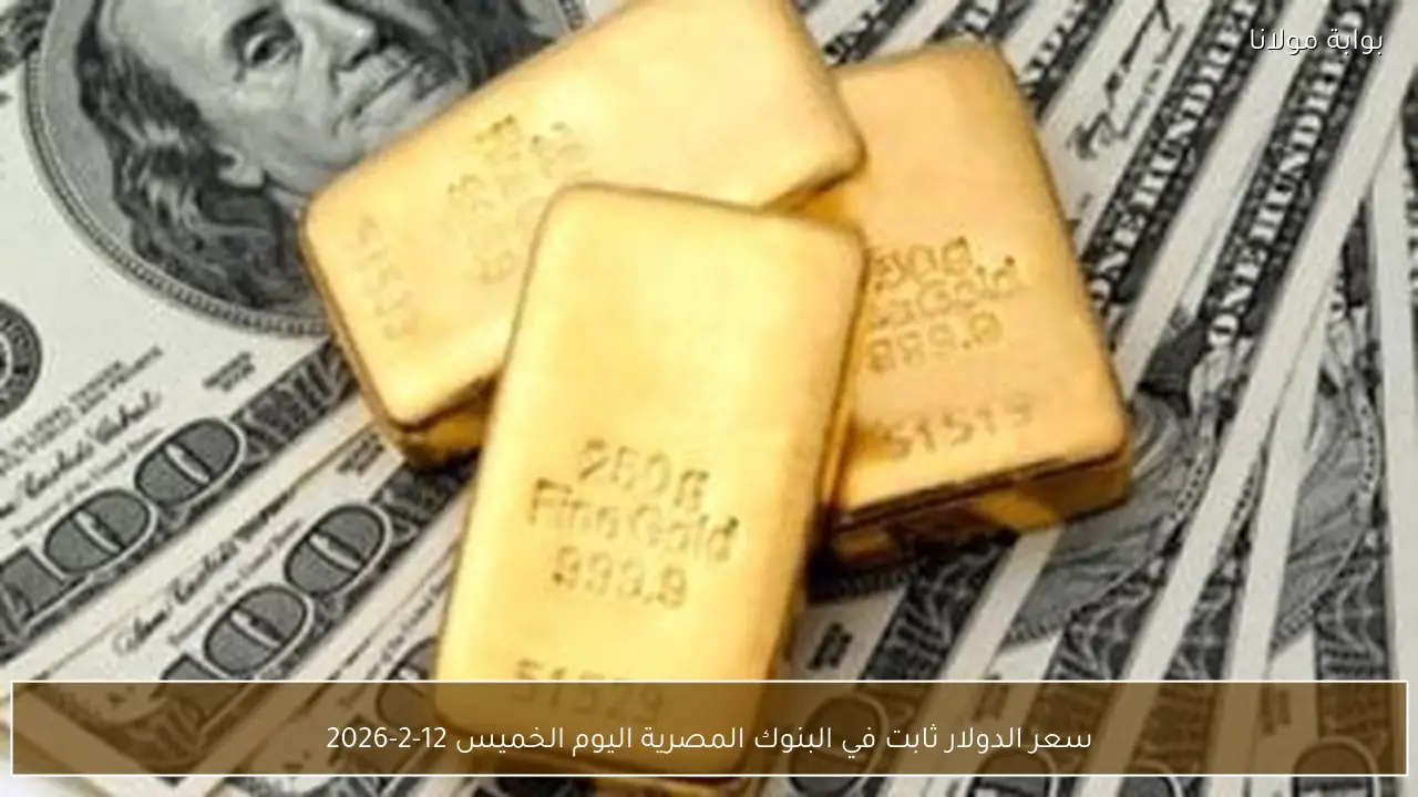 سعر الدولار ثابت في البنوك المصرية اليوم الخميس 12-2-2026