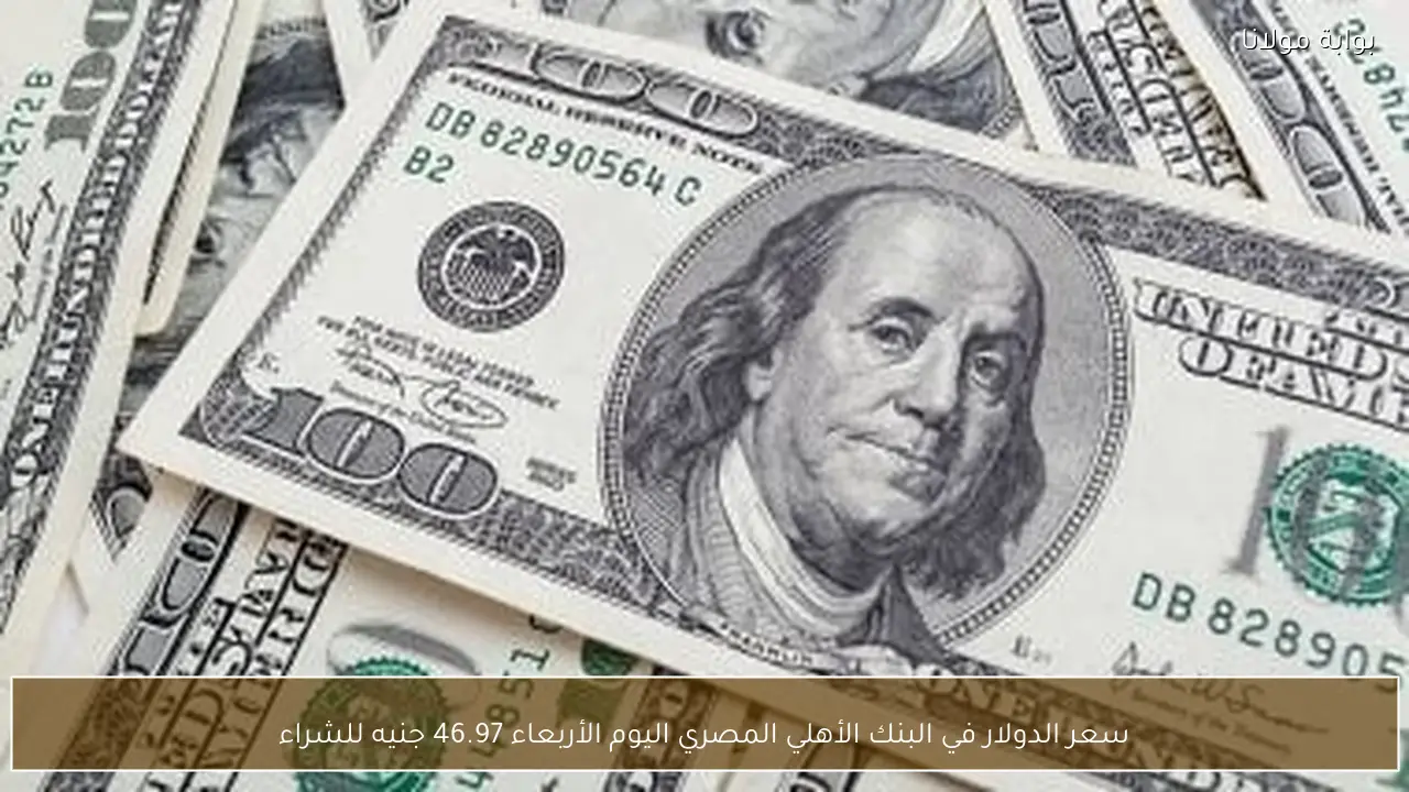 سعر الدولار في البنك الأهلي المصري اليوم الأربعاء 46.97 جنيه للشراء