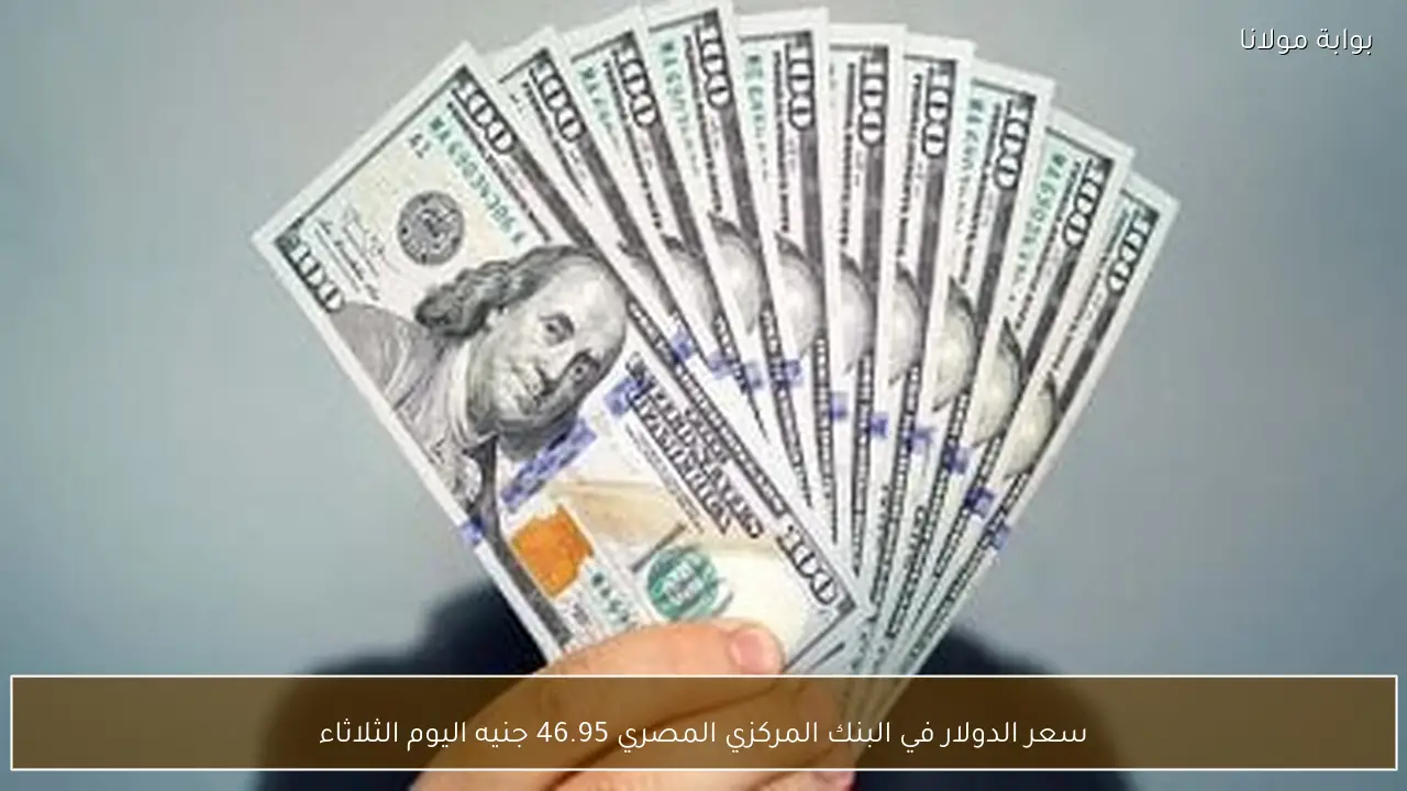 سعر الدولار في البنك المركزي المصري 46.95 جنيه اليوم الثلاثاء