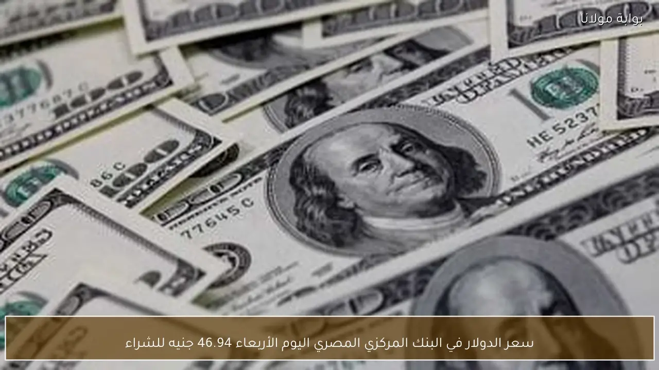 سعر الدولار في البنك المركزي المصري اليوم الأربعاء 46.94 جنيه للشراء