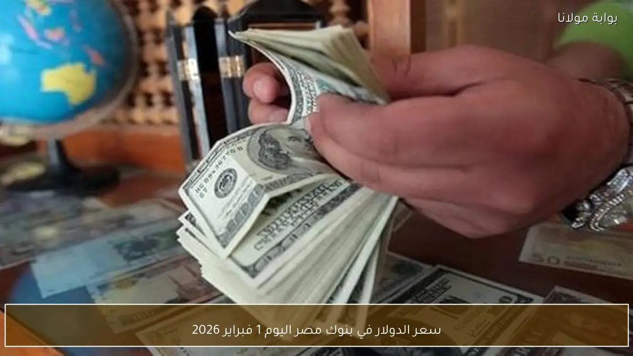 سعر الدولار في بنوك مصر اليوم 1 فبراير 2026