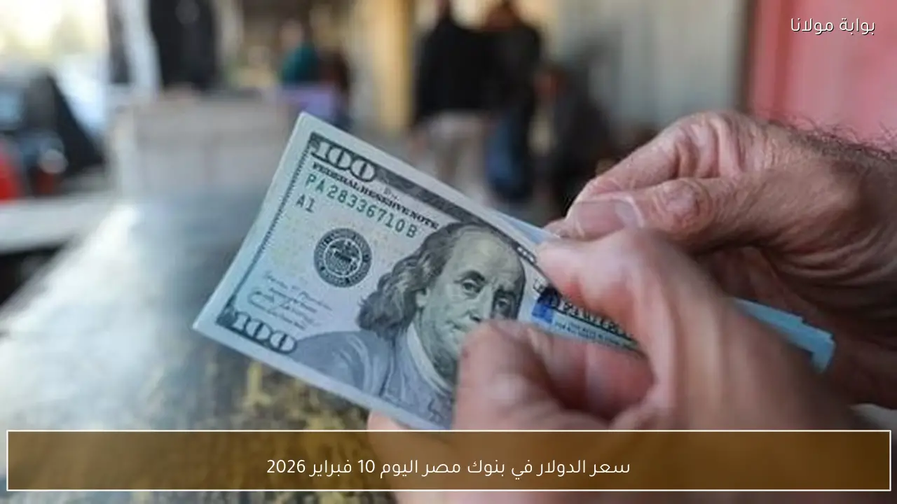 سعر الدولار في بنوك مصر اليوم 10 فبراير 2026