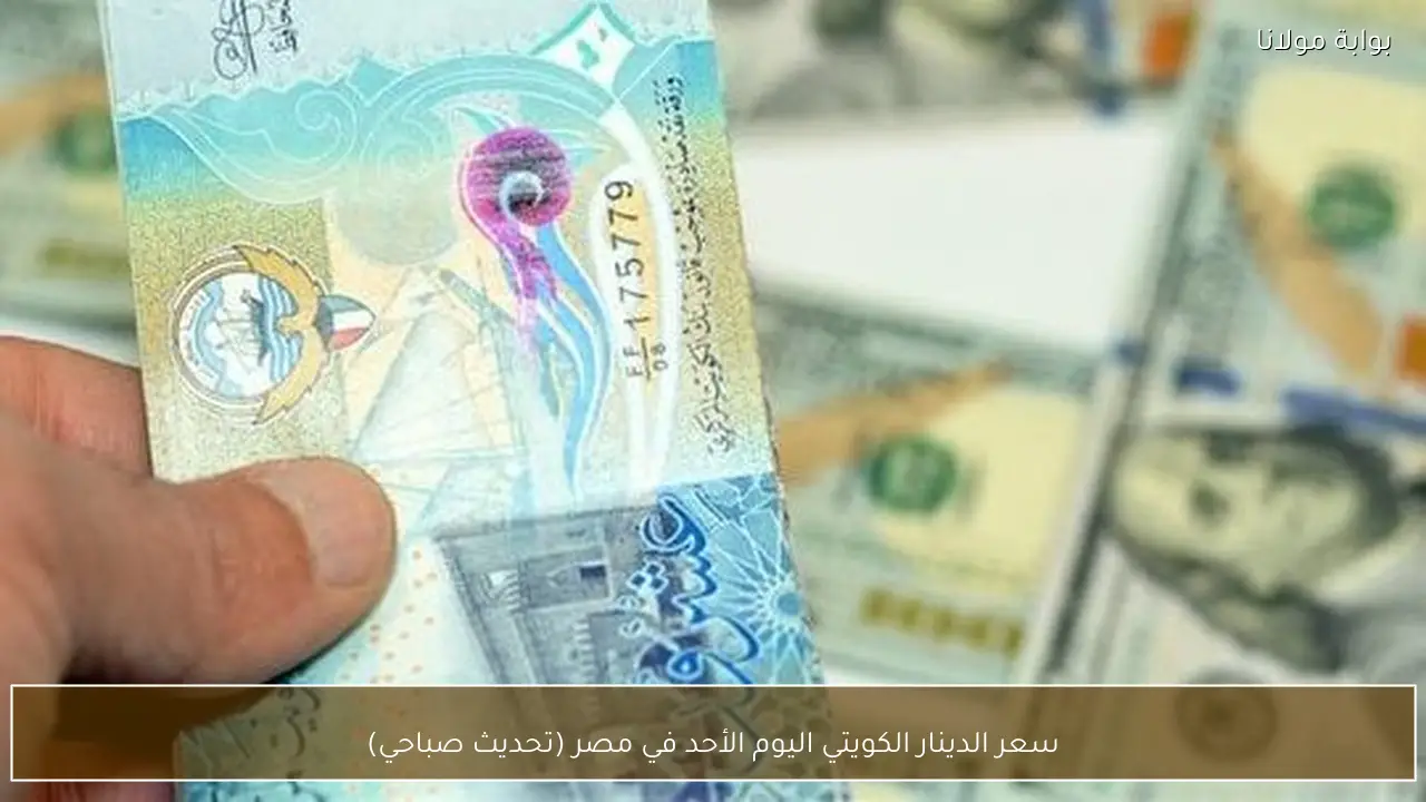 سعر الدينار الكويتي اليوم الأحد في مصر (تحديث صباحي)