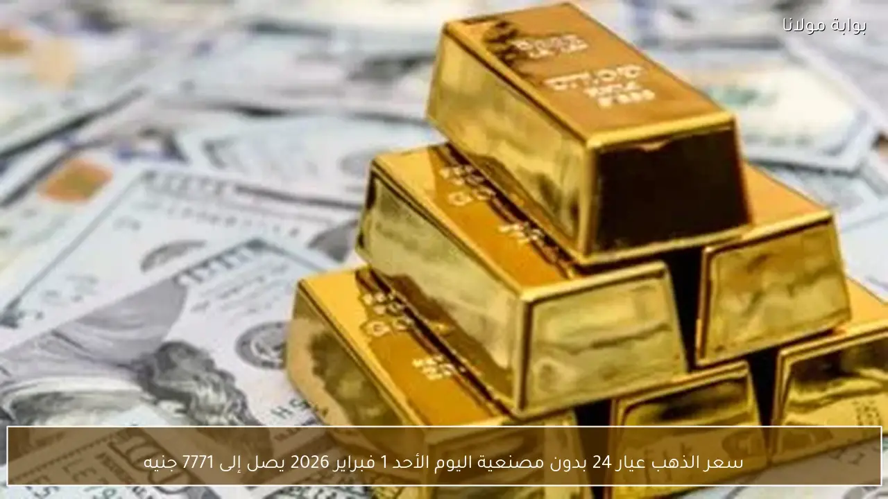 سعر الذهب عيار 24 بدون مصنعية اليوم الأحد 1 فبراير 2026 يصل إلى 7771 جنيه