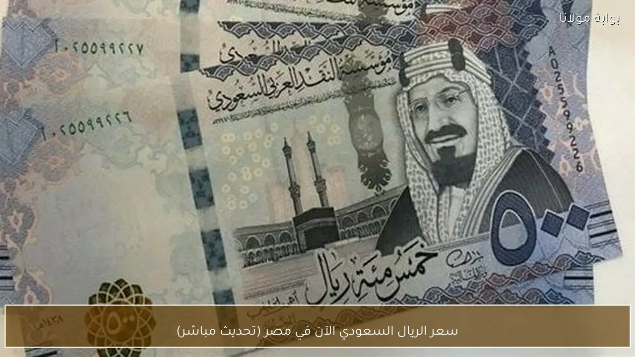 سعر الريال السعودي الآن في مصر (تحديث مباشر)