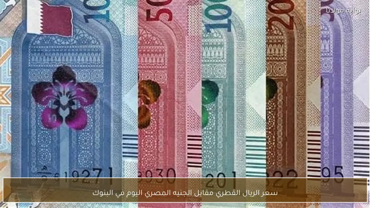 سعر الريال القطري مقابل الجنيه المصري اليوم في البنوك