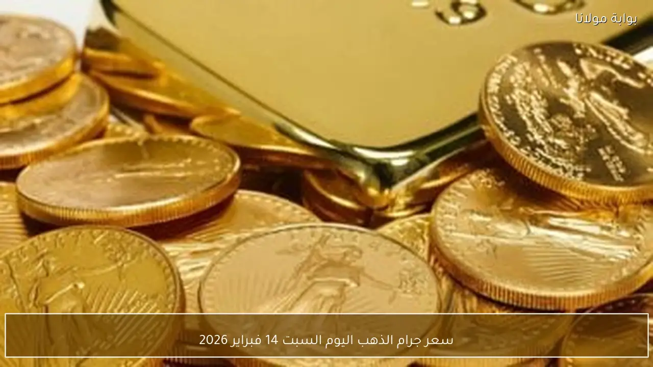 سعر جرام الذهب اليوم السبت 14 فبراير 2026