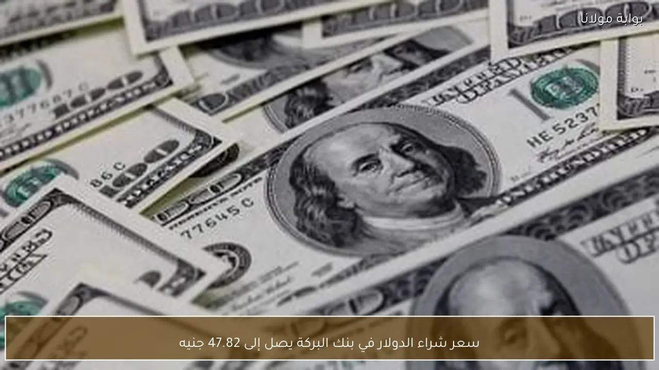 سعر شراء الدولار في بنك البركة يصل إلى 47.82 جنيه