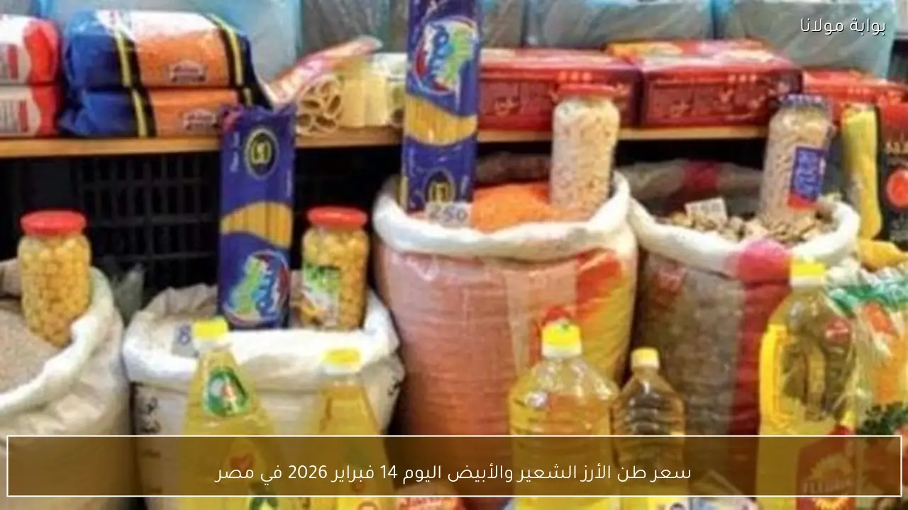 سعر طن الأرز الشعير والأبيض اليوم 14 فبراير 2026 في مصر