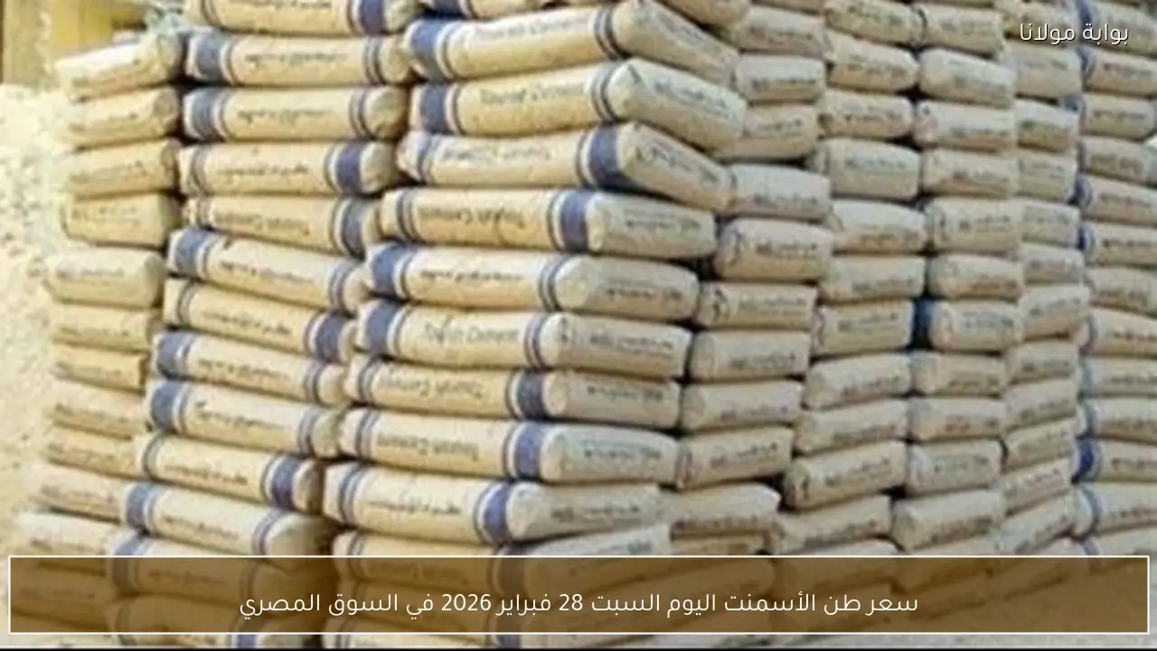 سعر طن الأسمنت اليوم السبت 28 فبراير 2026 في السوق المصري