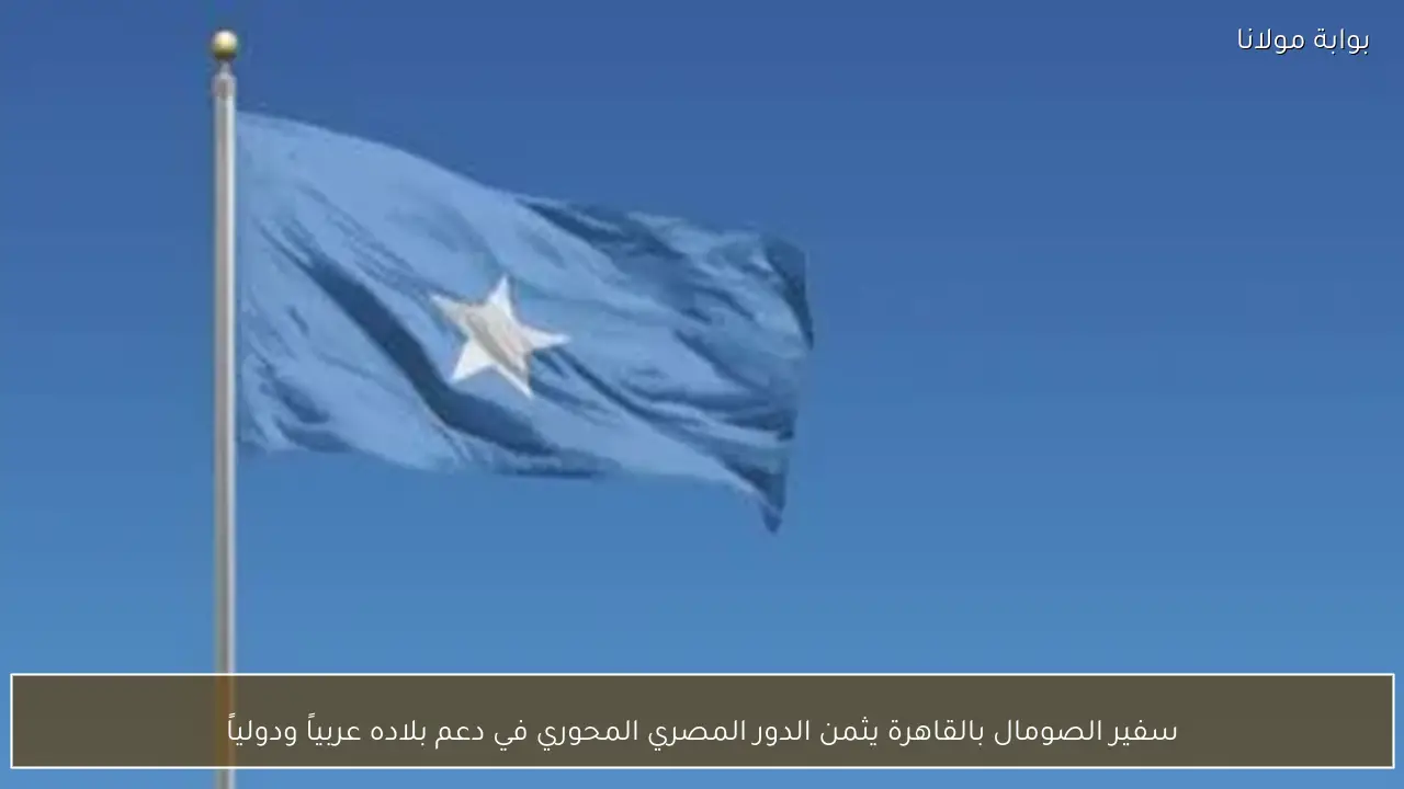 سفير الصومال بالقاهرة يثمن الدور المصري المحوري في دعم بلاده عربياً ودولياً