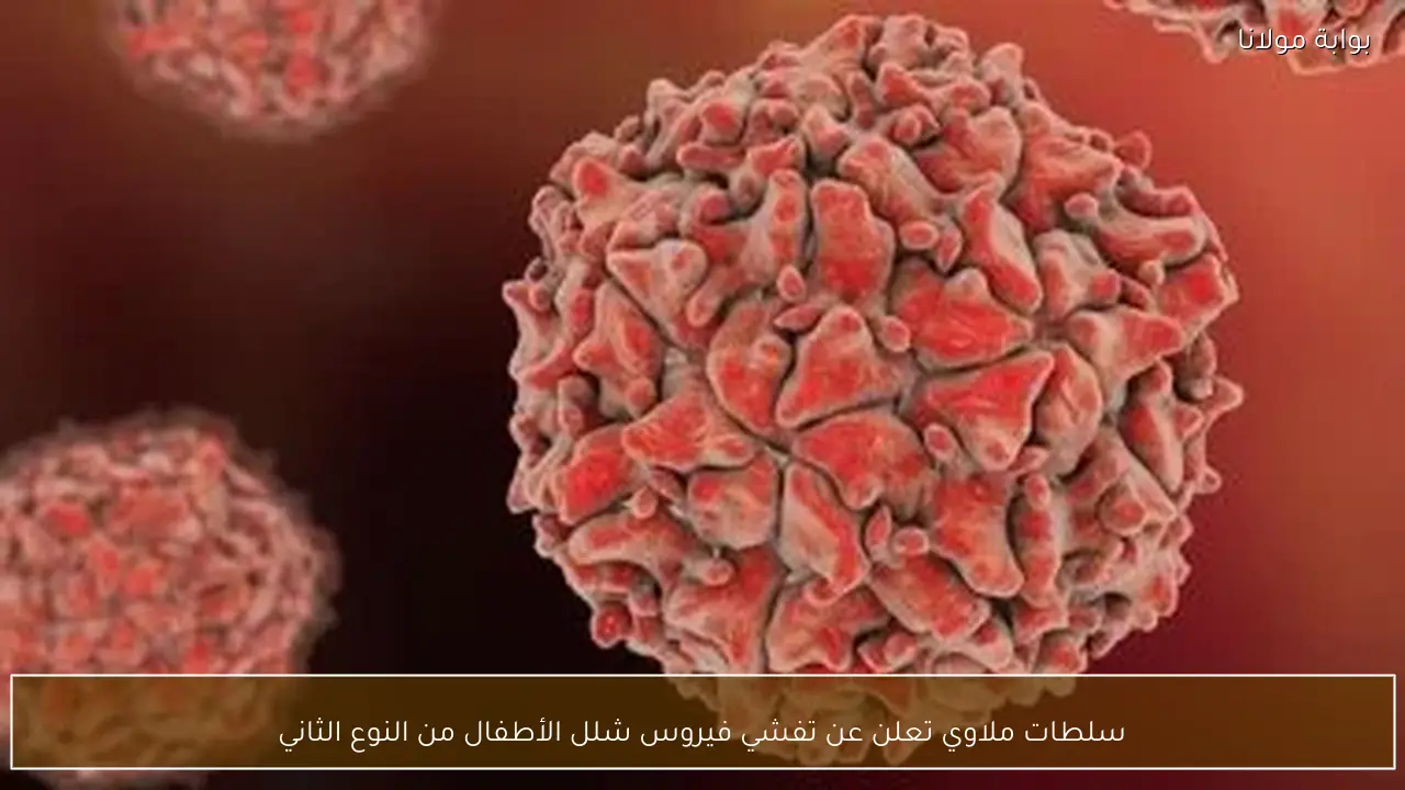 سلطات ملاوي تعلن عن تفشي فيروس شلل الأطفال من النوع الثاني