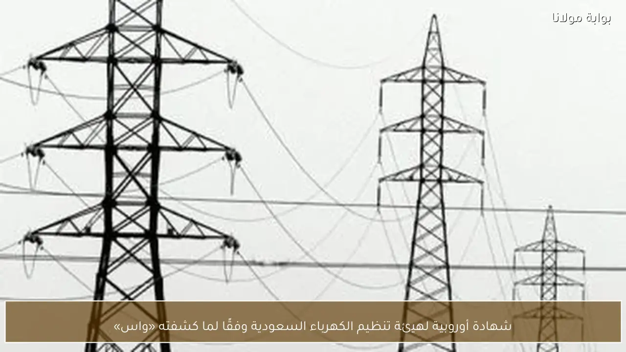 شهادة أوروبية لهيئة تنظيم الكهرباء السعودية وفقًا لما كشفته «واس»