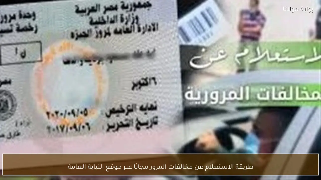 طريقة الاستعلام عن مخالفات المرور مجانًا عبر موقع النيابة العامة