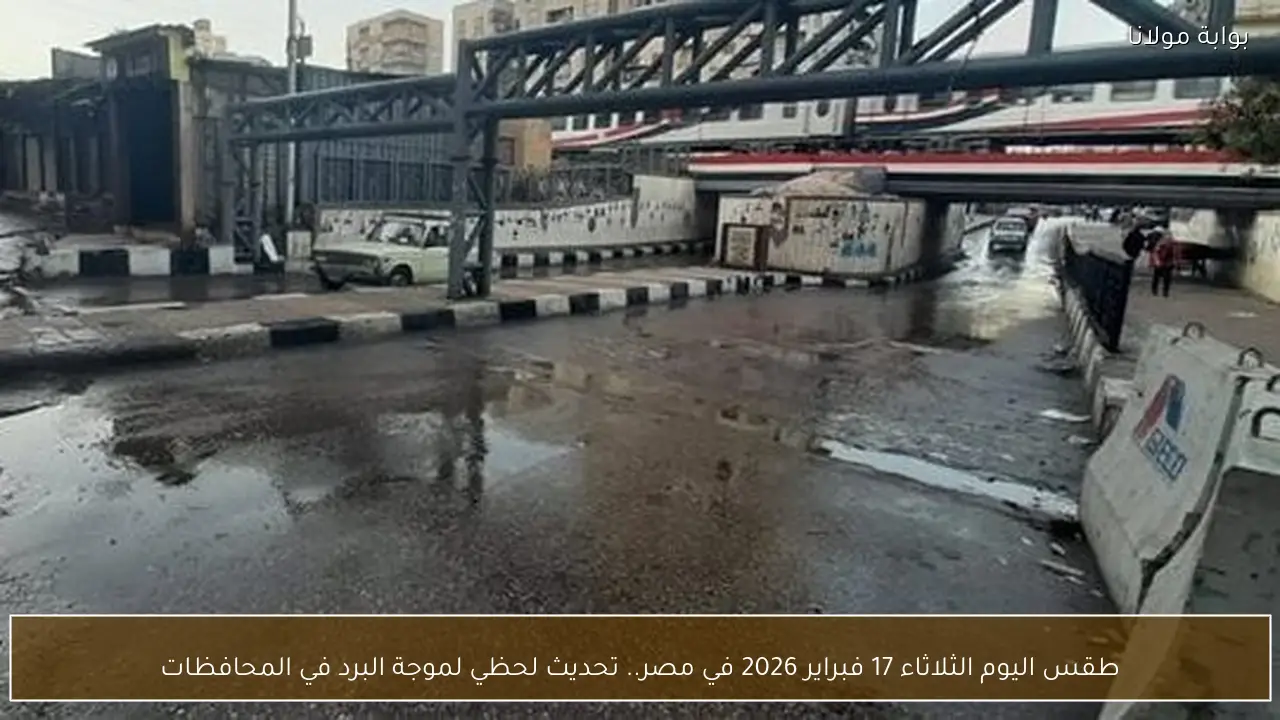 طقس اليوم الثلاثاء 17 فبراير 2026 في مصر.. تحديث لحظي لموجة البرد في المحافظات