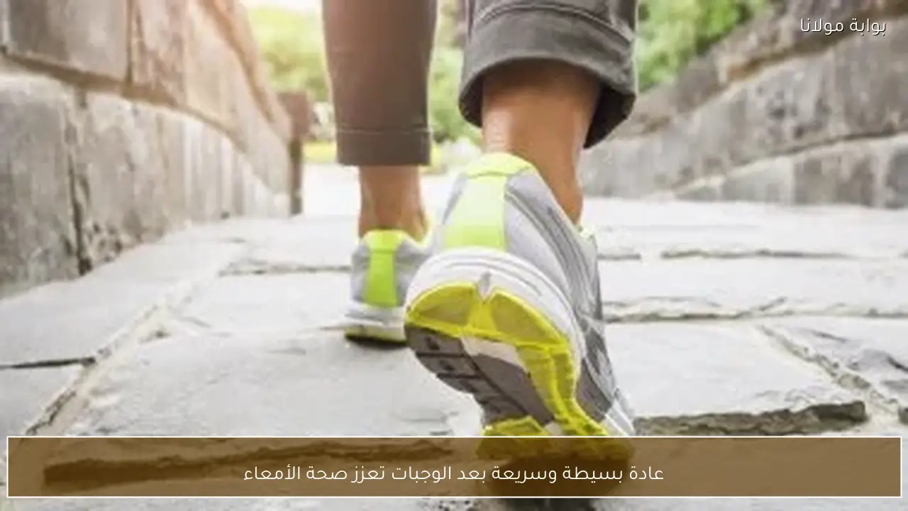 عادة بسيطة وسريعة بعد الوجبات تعزز صحة الأمعاء