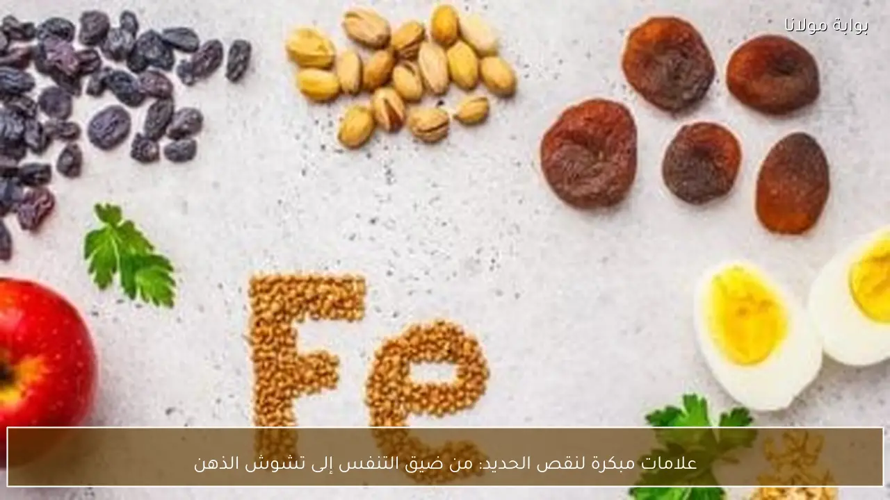 علامات مبكرة لنقص الحديد: من ضيق التنفس إلى تشوش الذهن