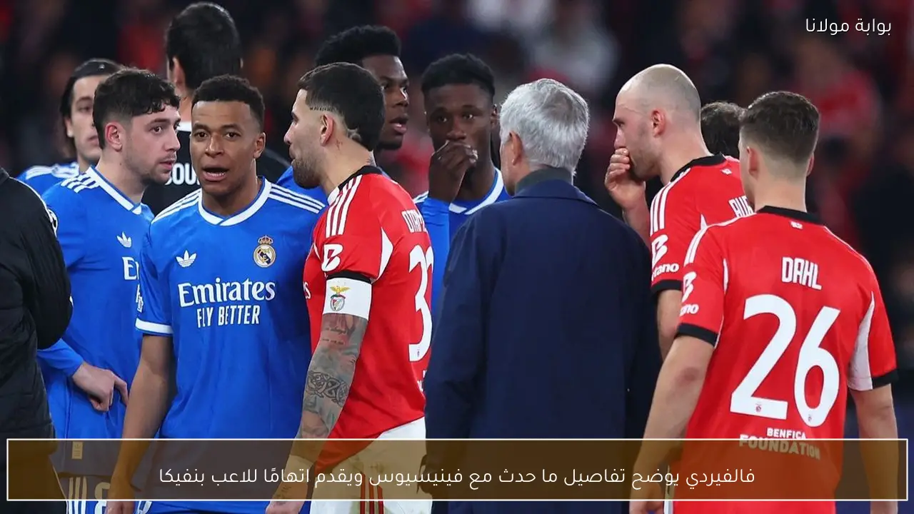 فالفيردي يوضح تفاصيل ما حدث مع فينيسيوس ويقدم اتهامًا للاعب بنفيكا