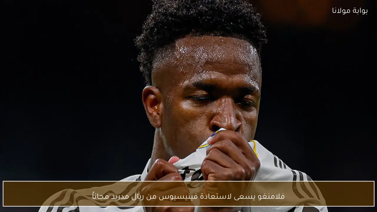 فلامنغو يسعى لاستعادة فينيسيوس من ريال مدريد مجاناً