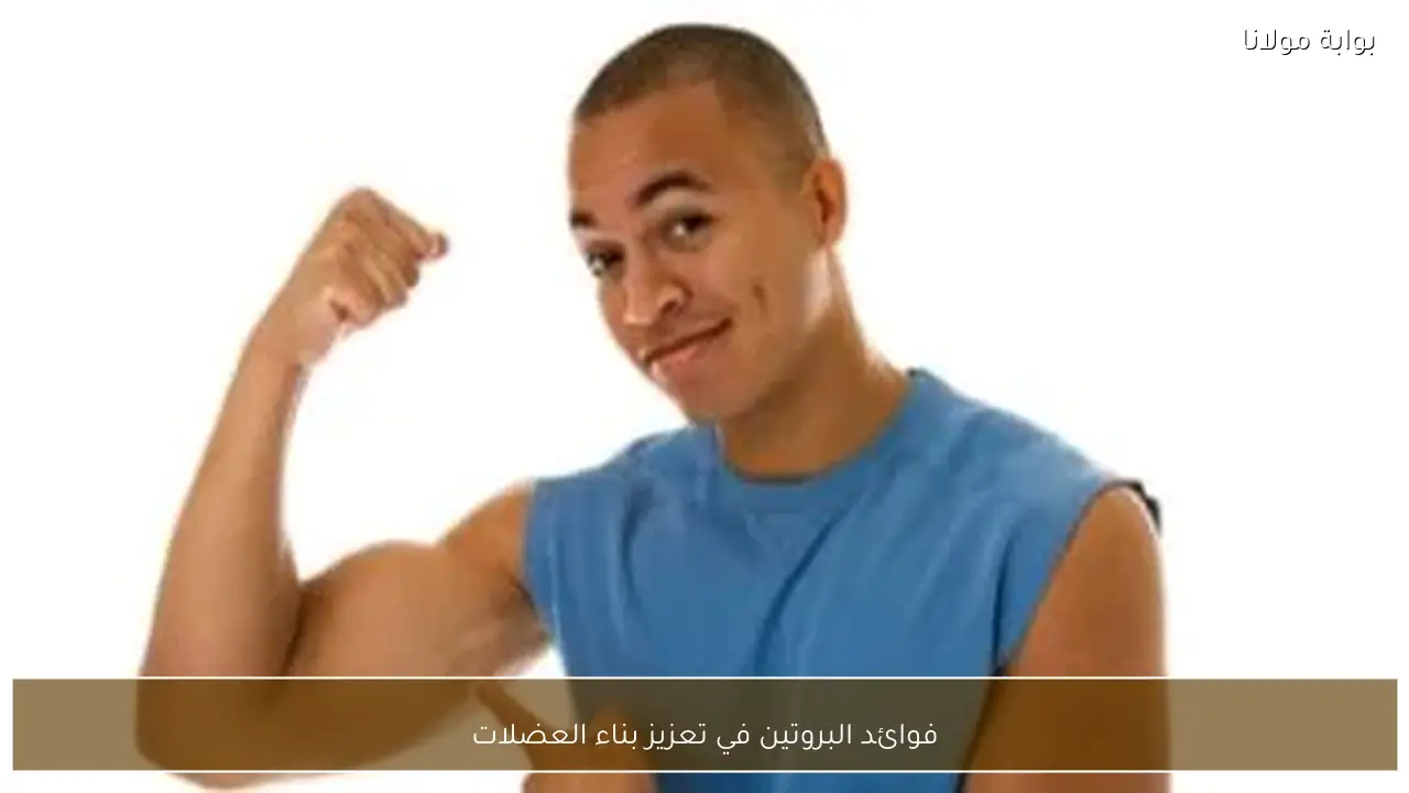 فوائد البروتين في تعزيز بناء العضلات