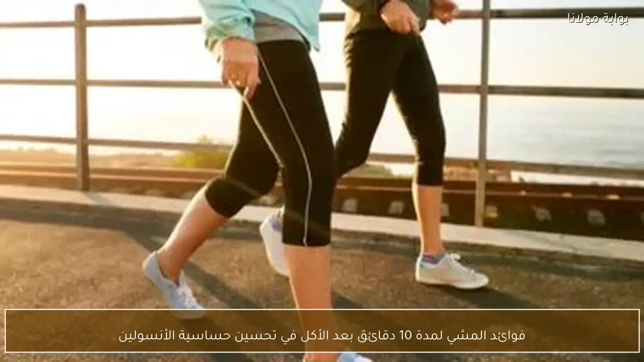 فوائد المشي لمدة 10 دقائق بعد الأكل في تحسين حساسية الأنسولين