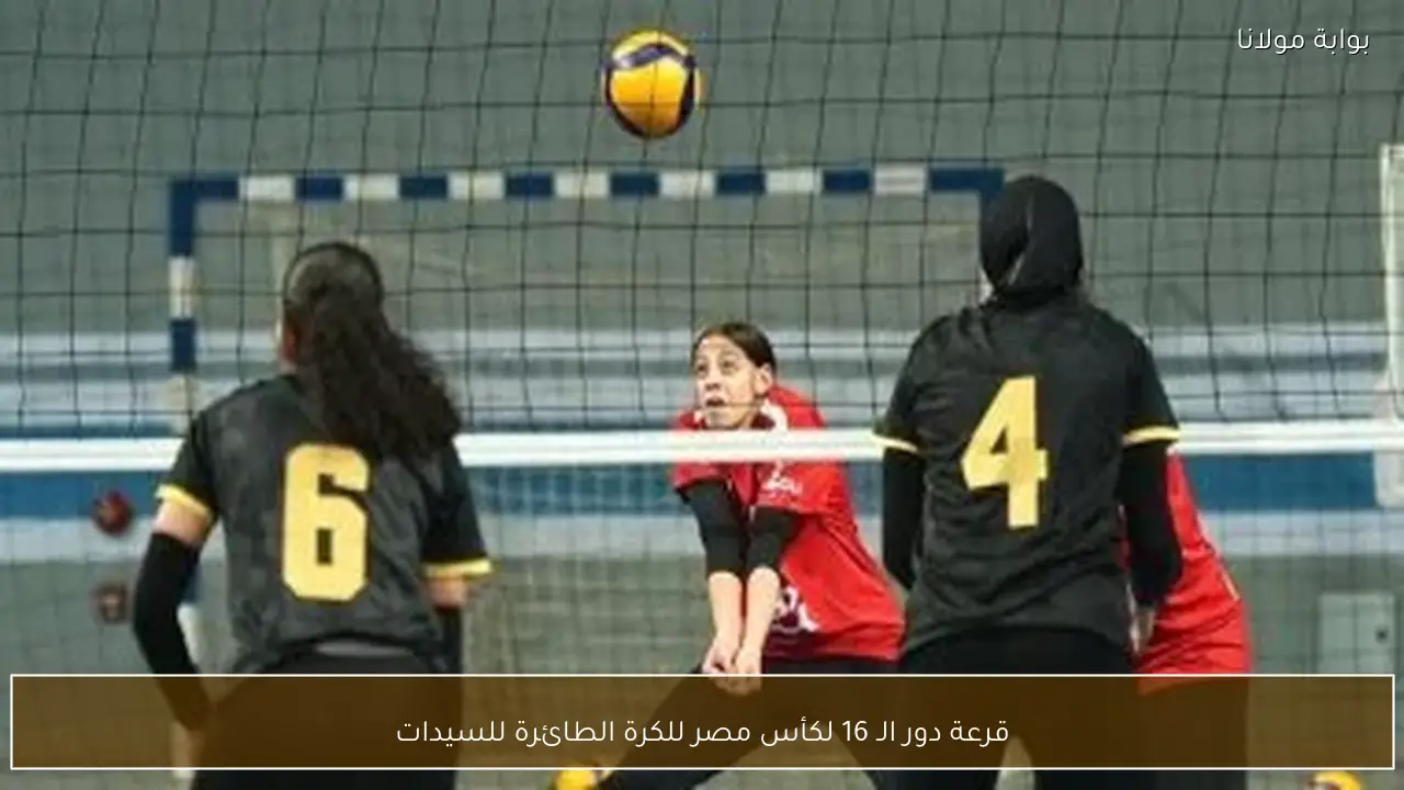 قرعة دور الـ 16 لكأس مصر للكرة الطائرة للسيدات