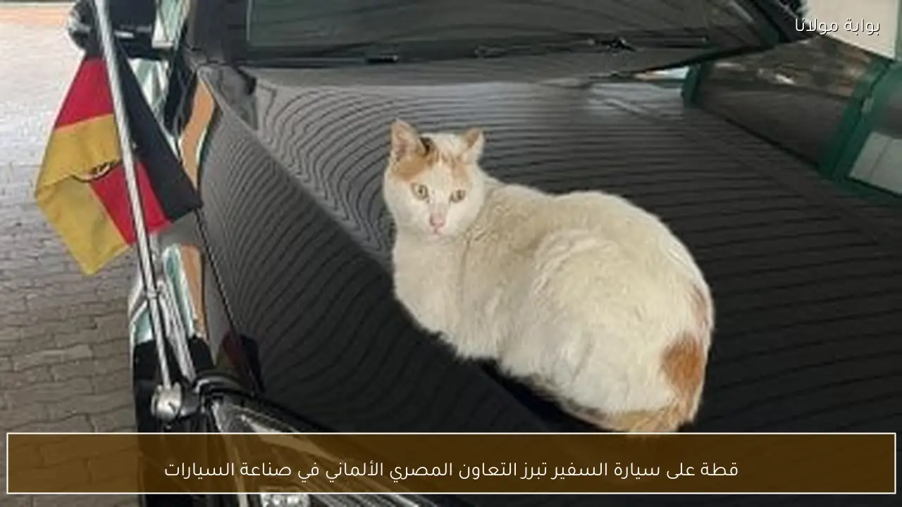 قطة على سيارة السفير تبرز التعاون المصري الألماني في صناعة السيارات