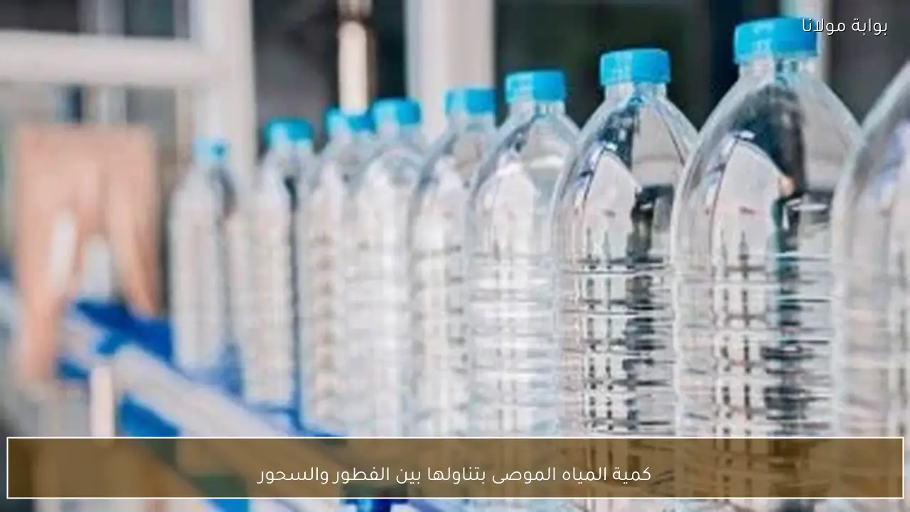 كمية المياه الموصى بتناولها بين الفطور والسحور