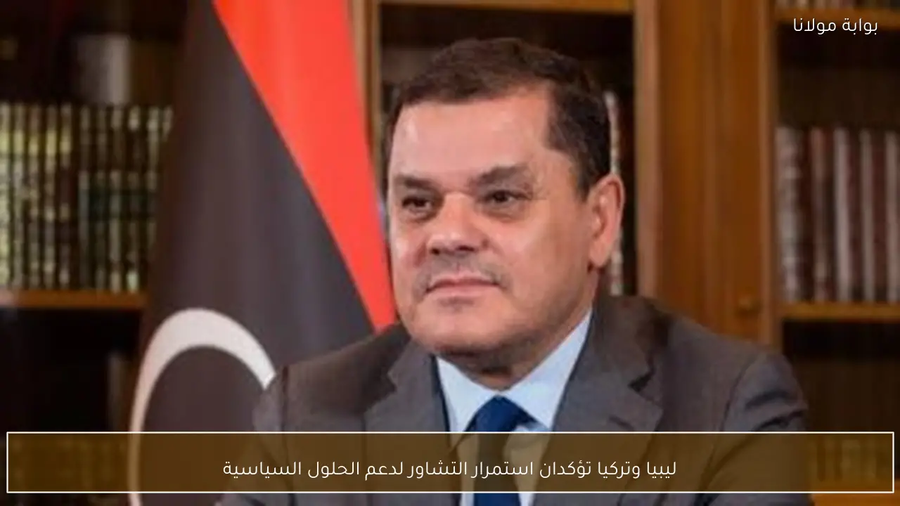 ليبيا وتركيا تؤكدان استمرار التشاور لدعم الحلول السياسية