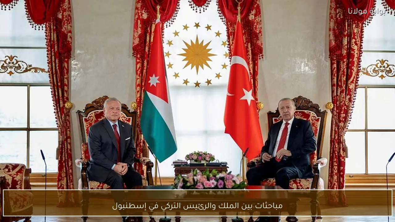 مباحثات بين الملك والرئيس التركي في إسطنبول