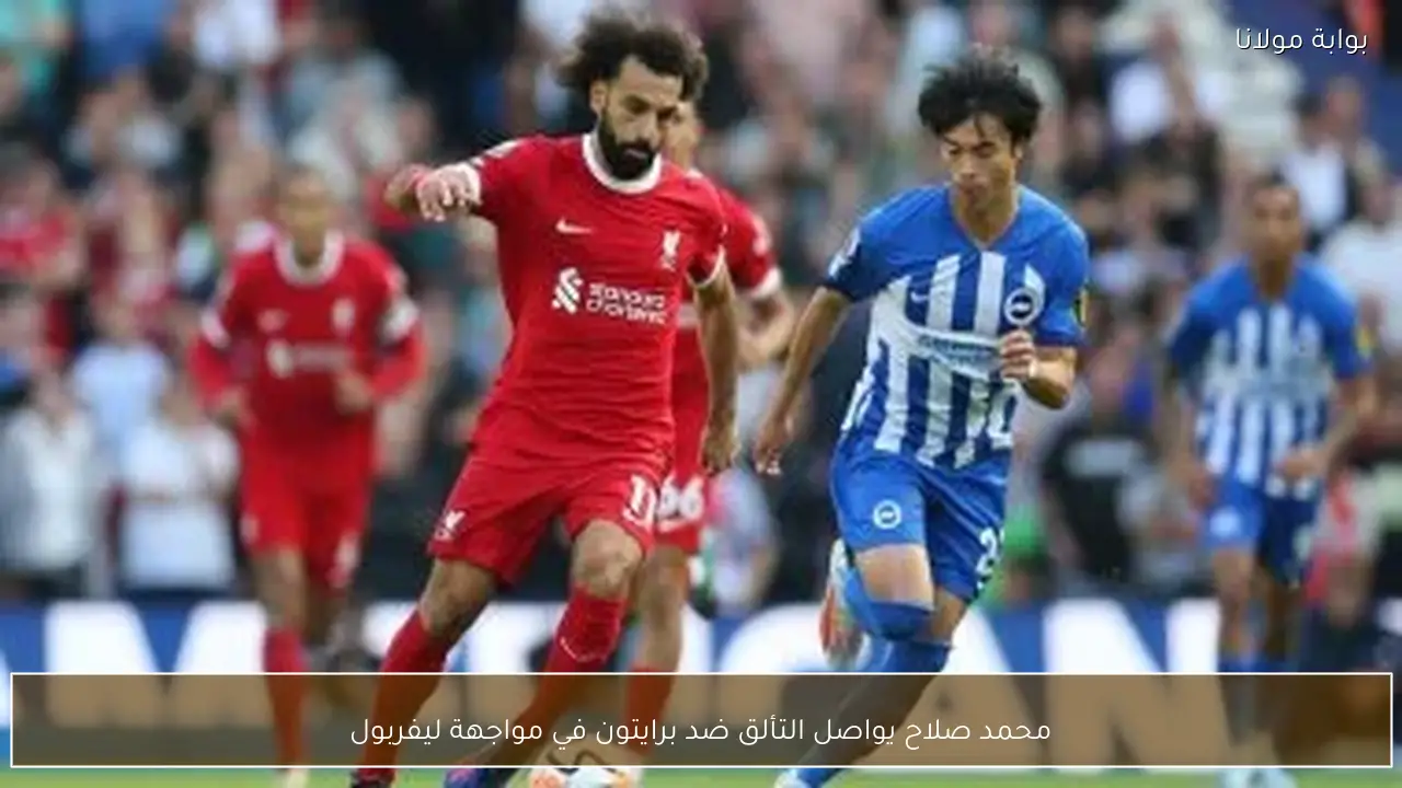 محمد صلاح يواصل التألق ضد برايتون في مواجهة ليفربول