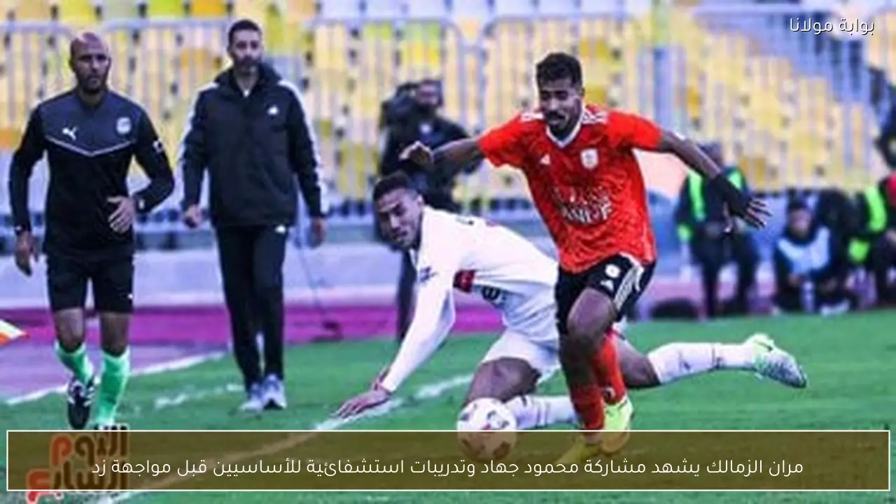 مران الزمالك يشهد مشاركة محمود جهاد وتدريبات استشفائية للأساسيين قبل مواجهة زد