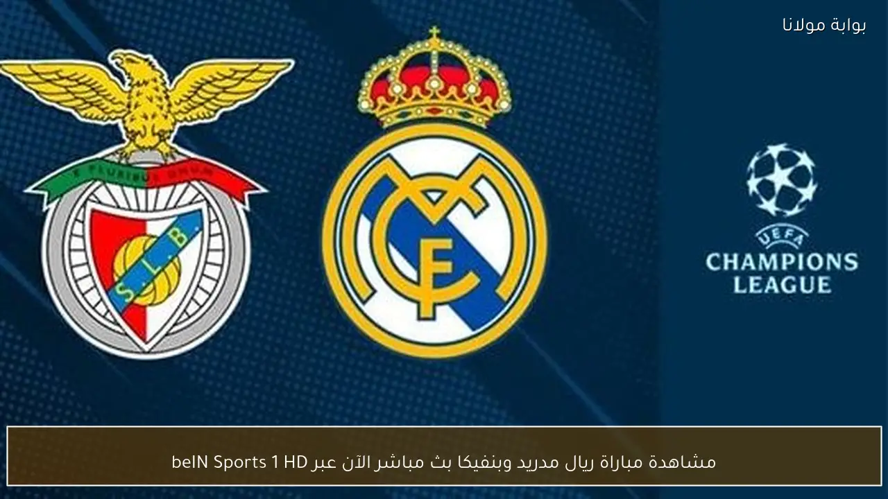 مشاهدة مباراة ريال مدريد وبنفيكا بث مباشر الآن عبر beIN Sports 1 HD