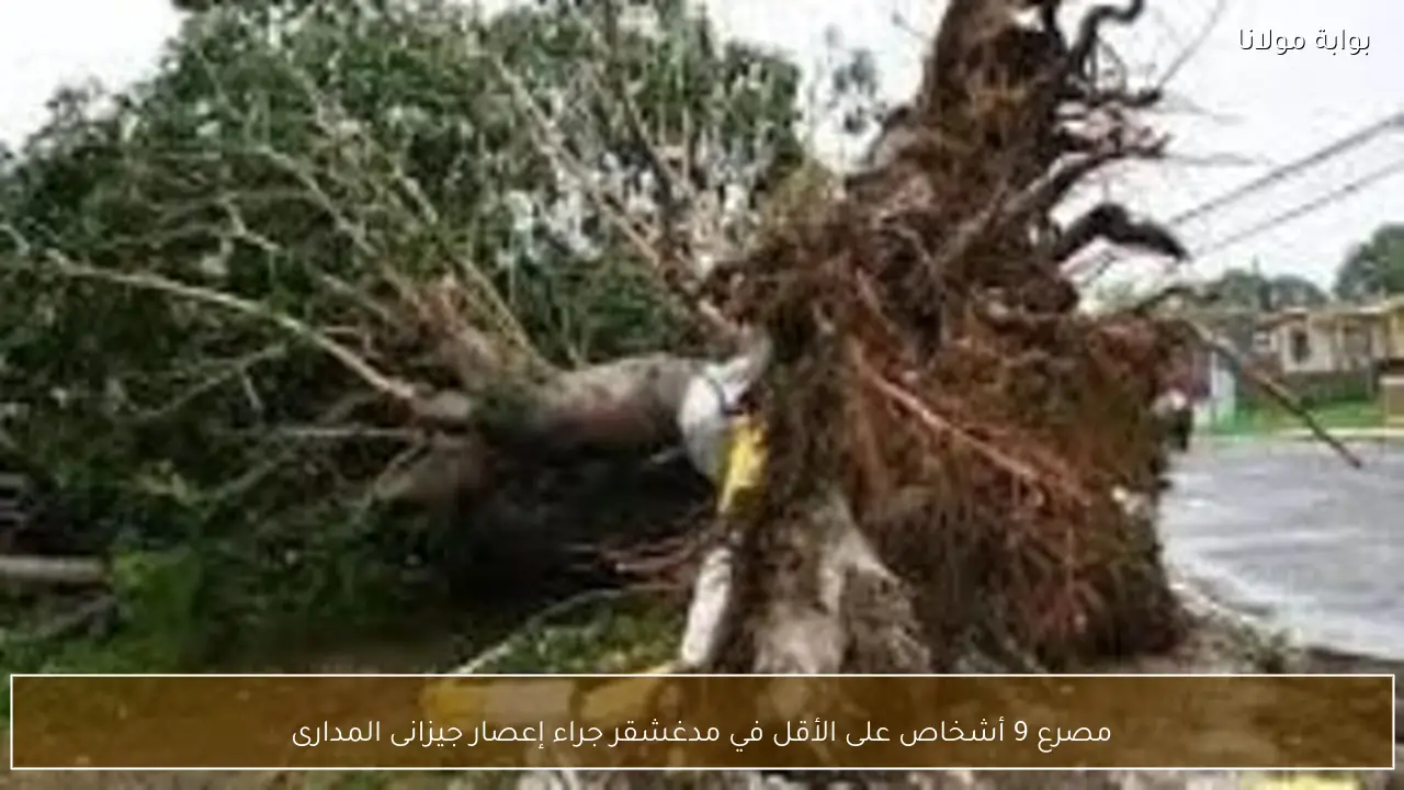 مصرع 9 أشخاص على الأقل في مدغشقر جراء إعصار جيزانى المدارى