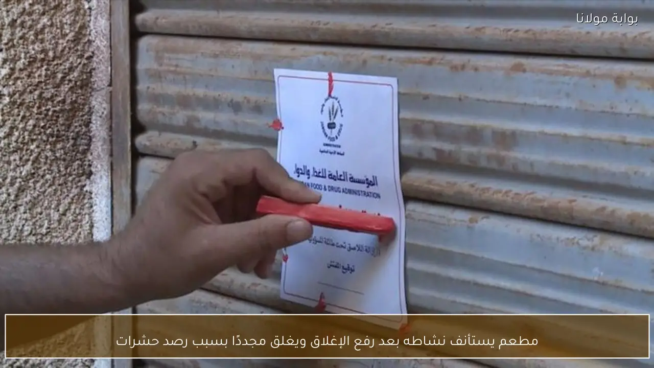 مطعم يستأنف نشاطه بعد رفع الإغلاق ويغلق مجددًا بسبب رصد حشرات