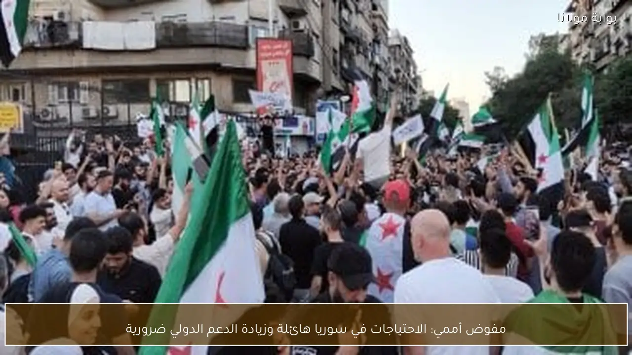 مفوض أممي: الاحتياجات في سوريا هائلة وزيادة الدعم الدولي ضرورية