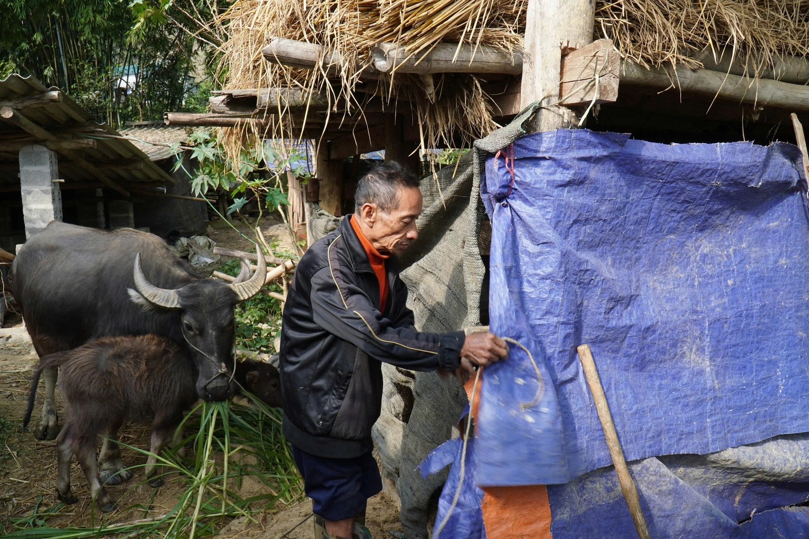 تتخذ مقاطعة ثانه هوا إجراءات استباقية لمواجهة الطقس البارد الشديد لحماية صحة السكان والإنتاج.
