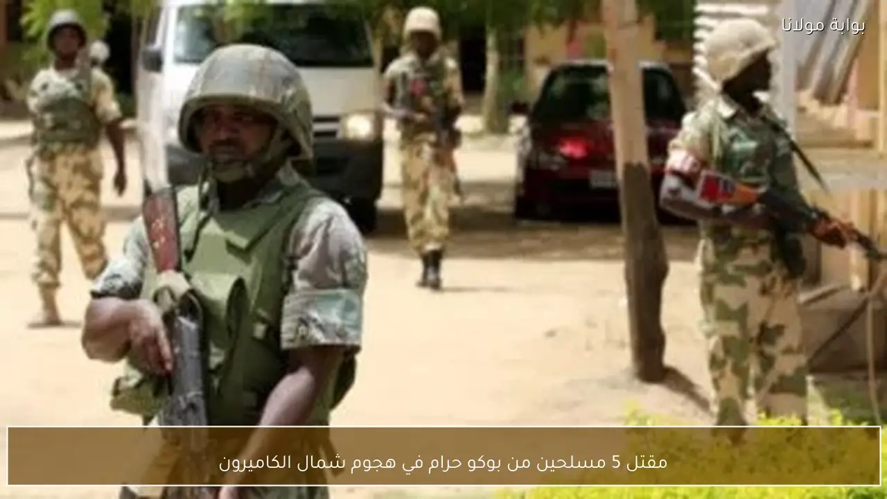 مقتل 5 مسلحين من بوكو حرام في هجوم شمال الكاميرون