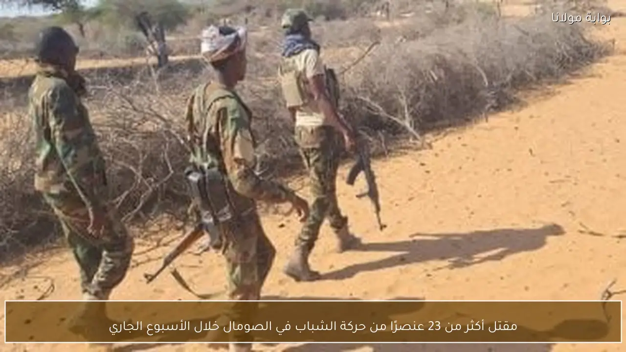 مقتل أكثر من 23 عنصرًا من حركة الشباب في الصومال خلال الأسبوع الجاري