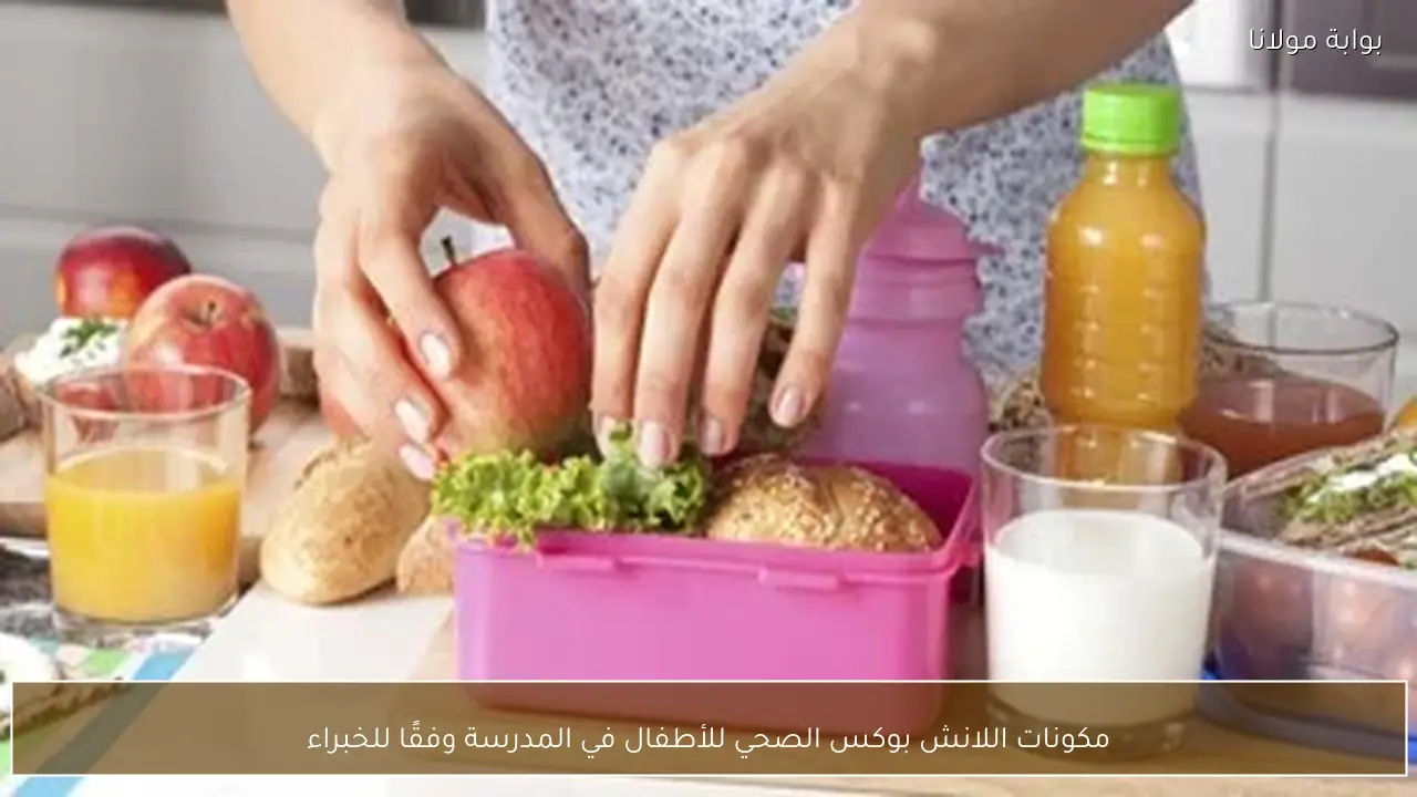 مكونات اللانش بوكس الصحي للأطفال في المدرسة وفقًا للخبراء