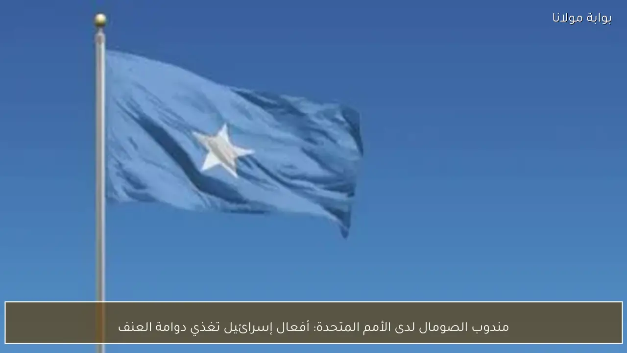 مندوب الصومال لدى الأمم المتحدة: أفعال إسرائيل تغذي دوامة العنف