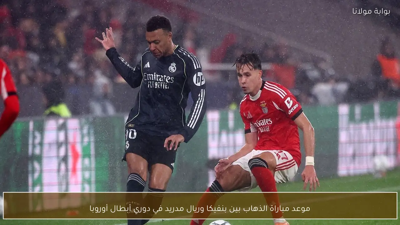موعد مباراة الذهاب بين بنفيكا وريال مدريد في دوري أبطال أوروبا