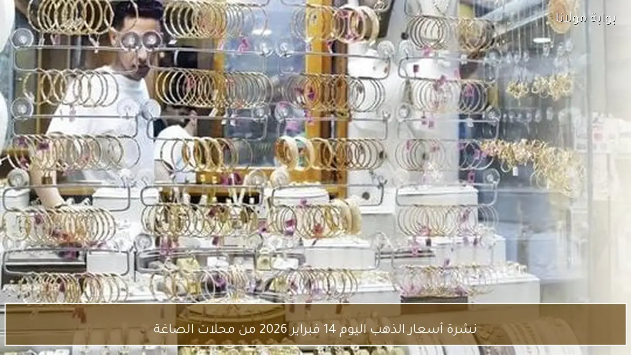 نشرة أسعار الذهب اليوم 14 فبراير 2026 من محلات الصاغة