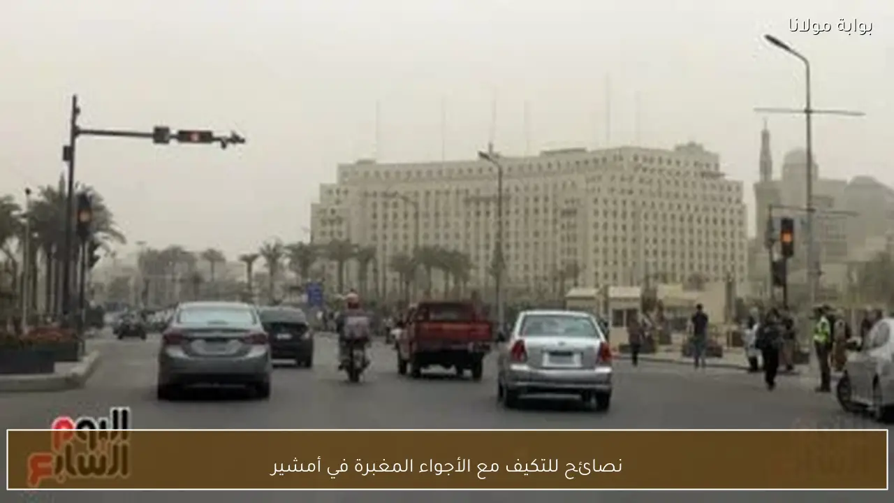 نصائح للتكيف مع الأجواء المغبرة في أمشير