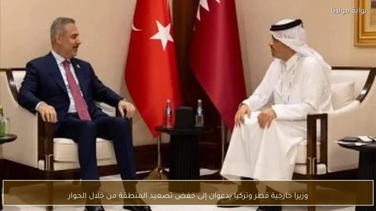 وزيرا خارجية قطر وتركيا يدعوان إلى خفض تصعيد المنطقة من خلال الحوار