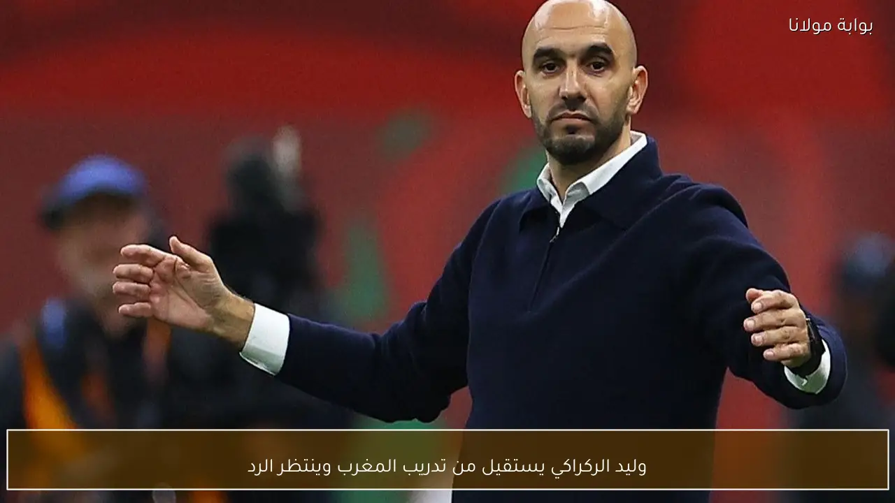وليد الركراكي يستقيل من تدريب المغرب وينتظر الرد