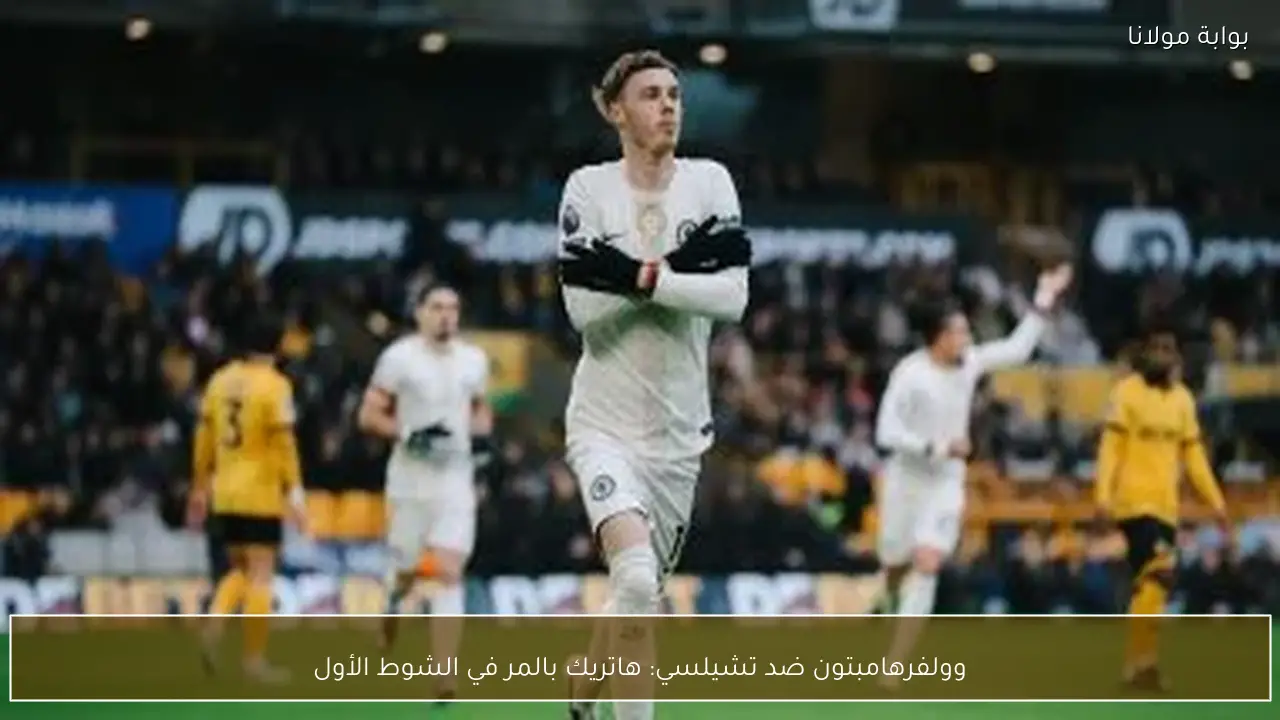 وولفرهامبتون ضد تشيلسي: هاتريك بالمر في الشوط الأول