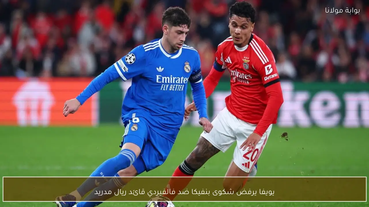 يويفا يرفض شكوى بنفيكا ضد فالفيردي قائد ريال مدريد