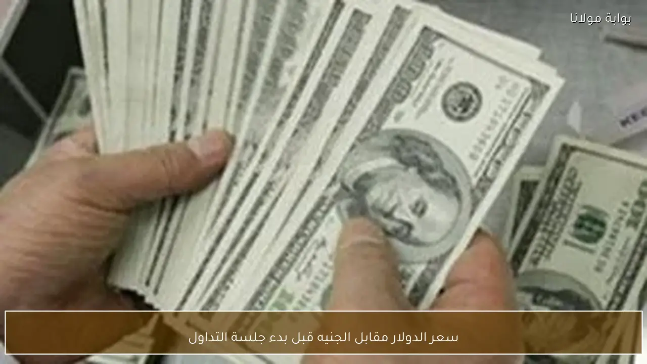 سعر الدولار مقابل الجنيه قبل بدء جلسة التداول